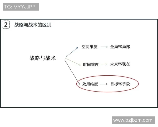 南京羽毛球队速度对比深度解析与战术优势探讨